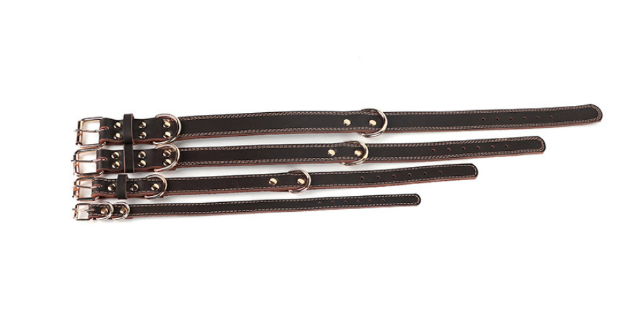 Pet Neck Ring Image 2