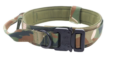 Nylon Dog Collar Image 2