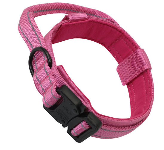 Nylon Dog Collar Image 3