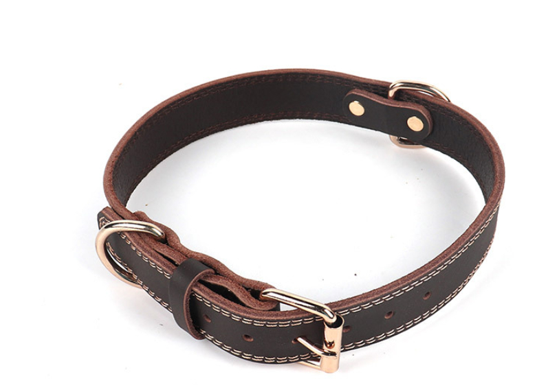 Pet Neck Ring Image 4