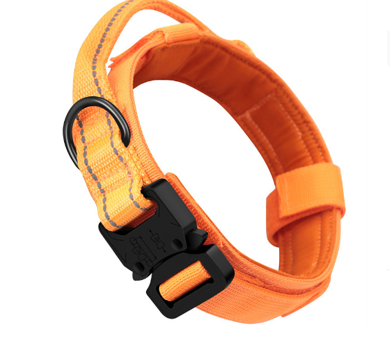Nylon Dog Collar Image 4