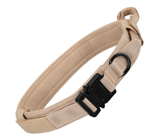 Nylon Dog Collar Image 5