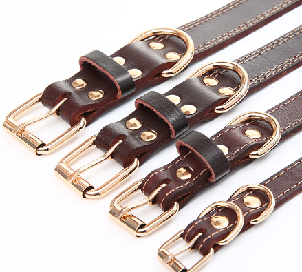 Dog Leather Traction Collar