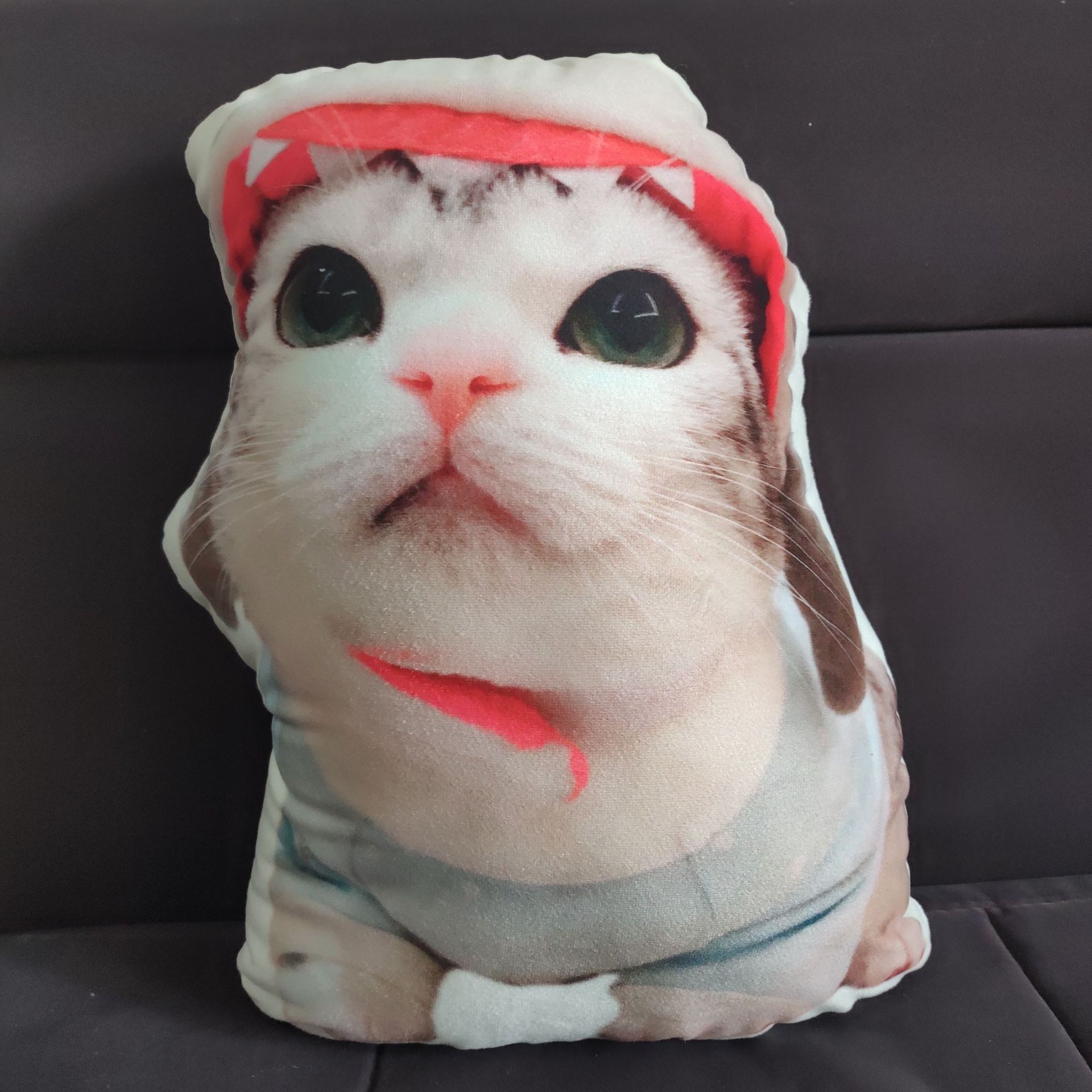 Cute Pet Shaped Pillow 2