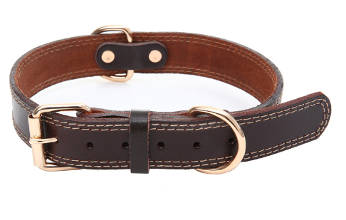 Dog Leather Traction Collar in use