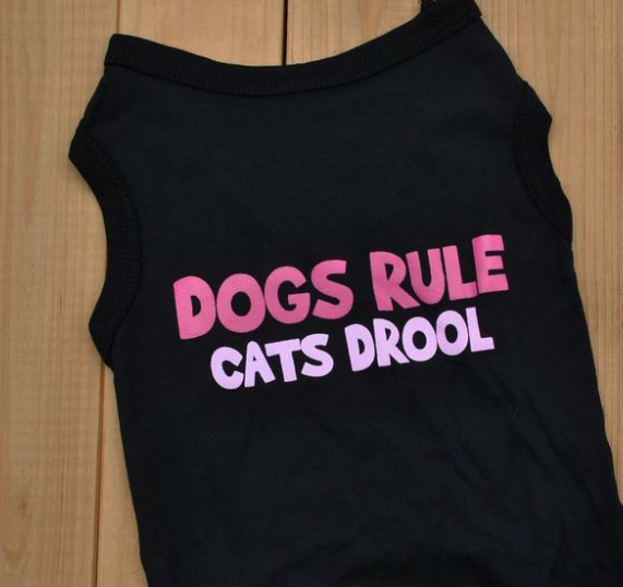 Fall Fashion Dog Cat Clothes