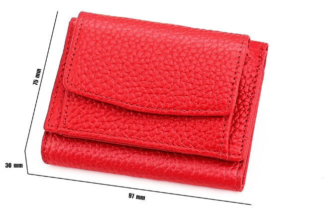 Leather Mini Purse in Light Green