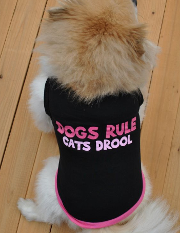 Comfortable Sweater for Pets
