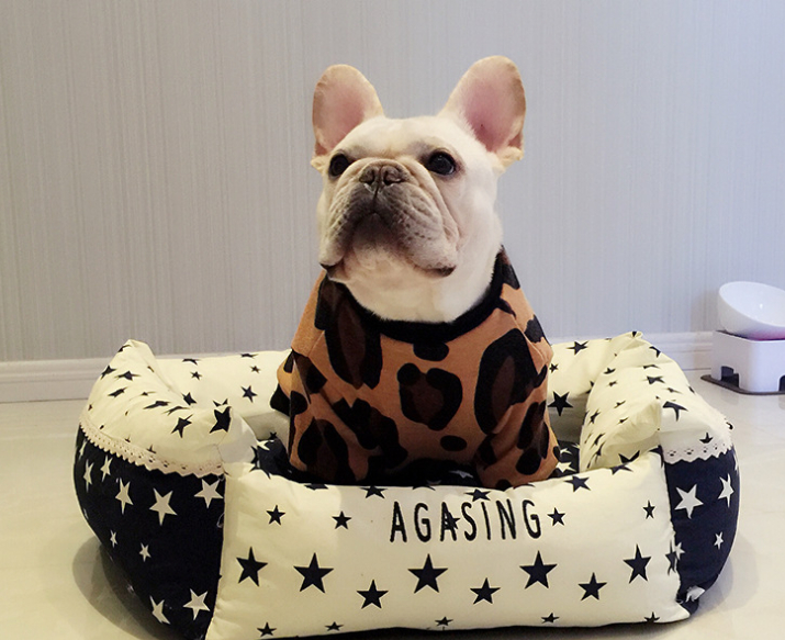 Autumn and Winter Knitted Wool Clothes for pets