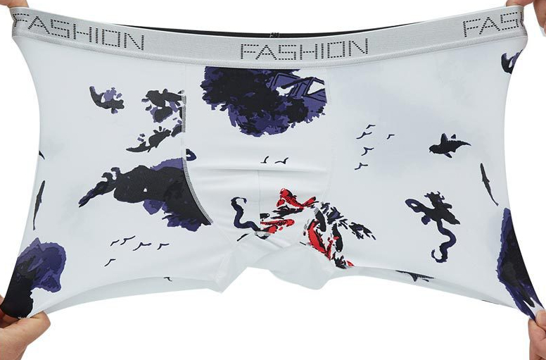 Boxer Briefs Image 3