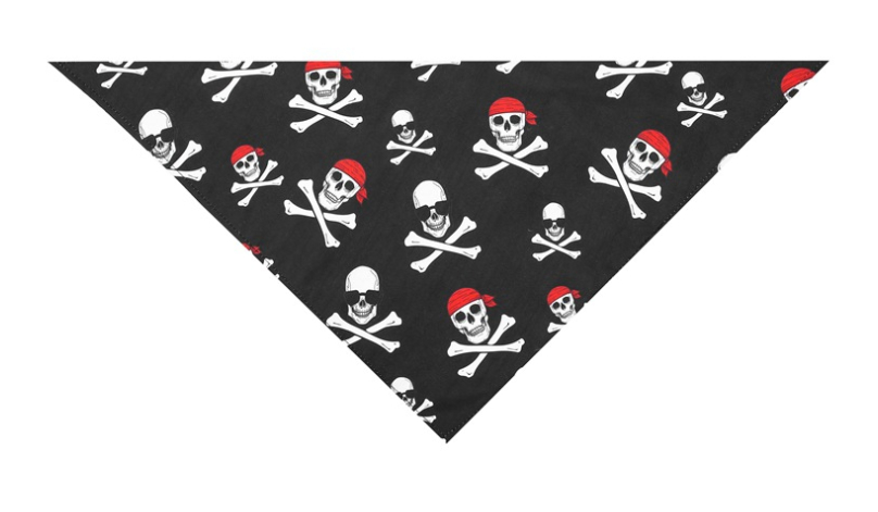 Halloween Skull Dog Scarf 5