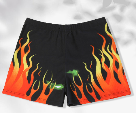 Swimming Trunks 1