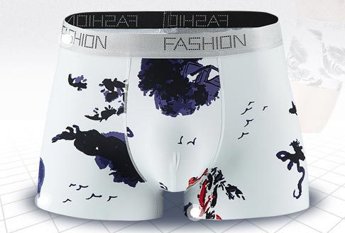 Boxer Briefs Image 1