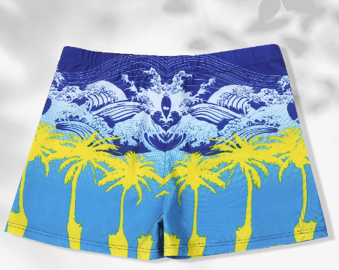 Swimming Trunks 8