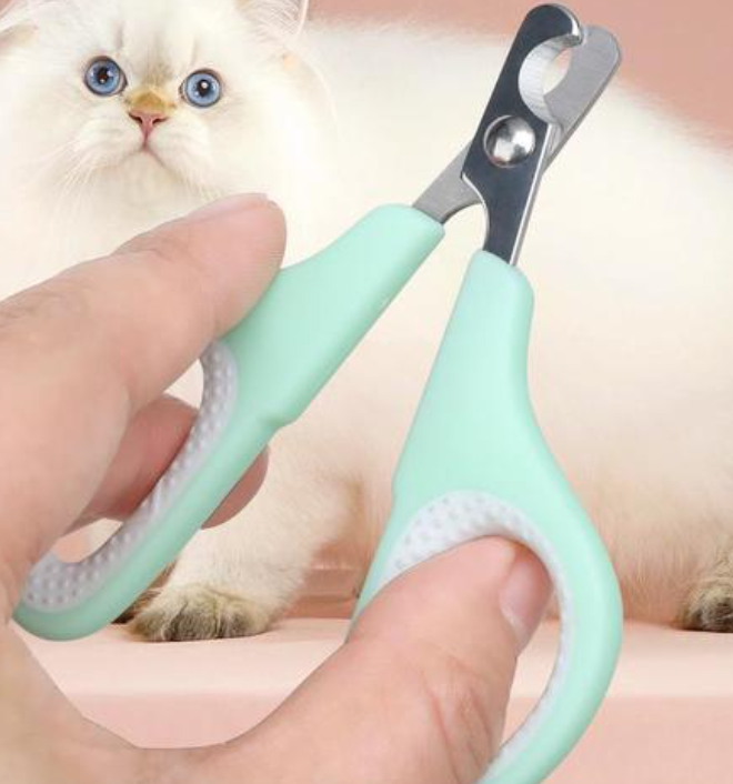 Pet Grooming Kit Image 6