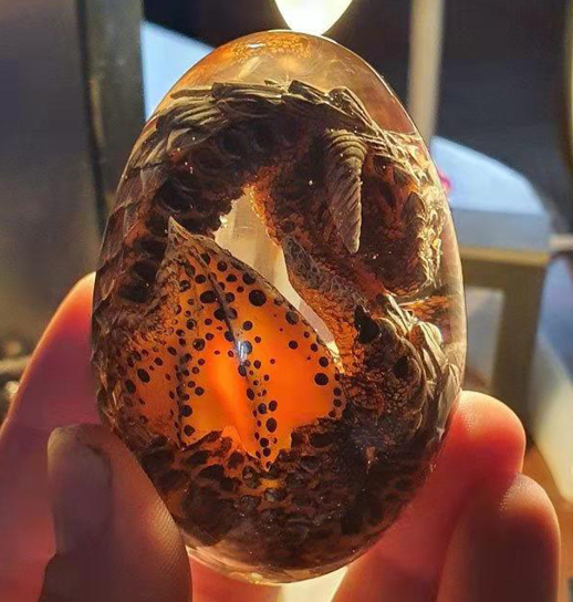 Dragon Egg
