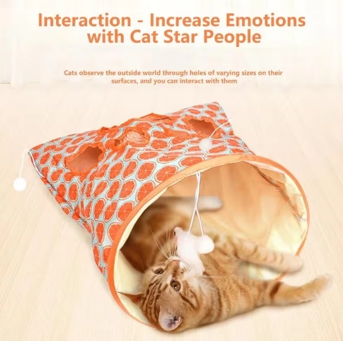 Cat Tunnel Image 2