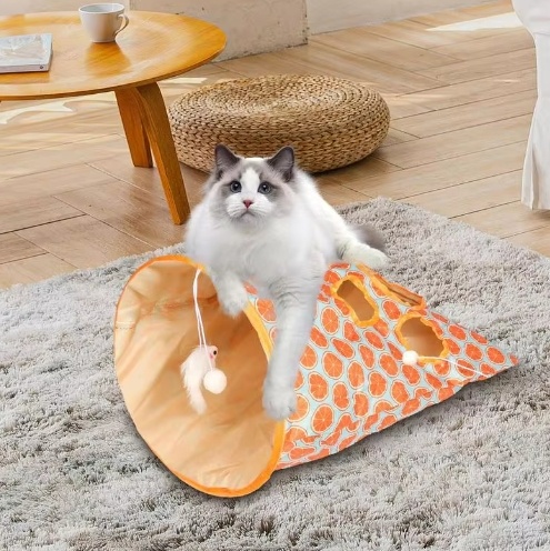 Cat Tunnel Image 1