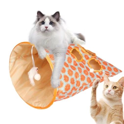 Cat Tunnel Image 4