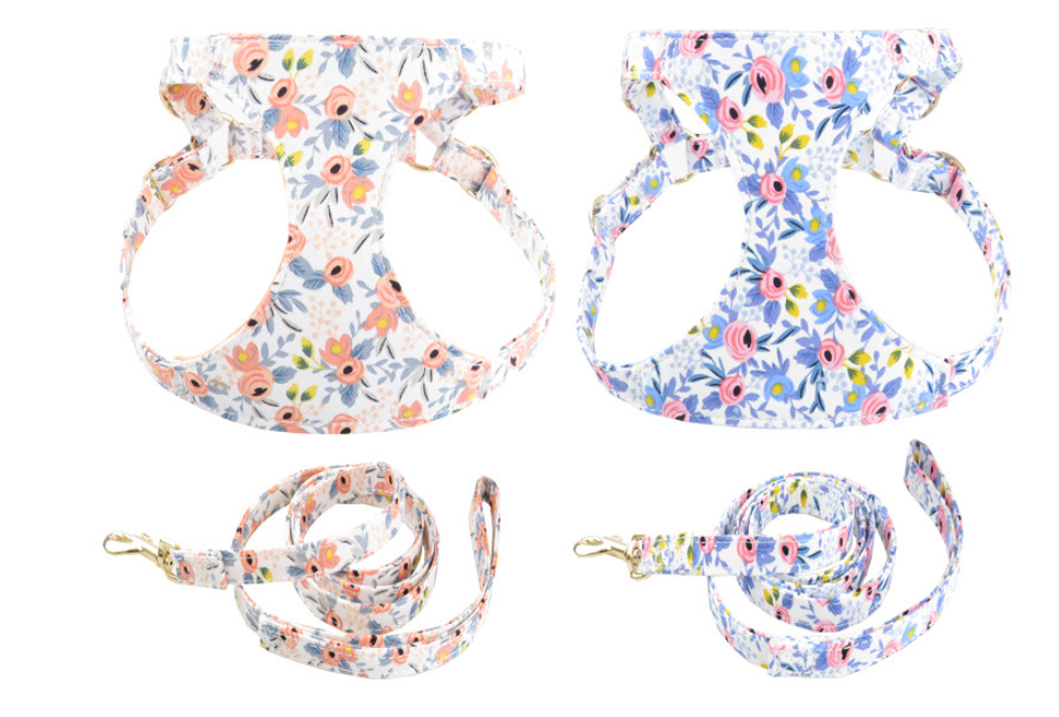 Collar and Chest Strap