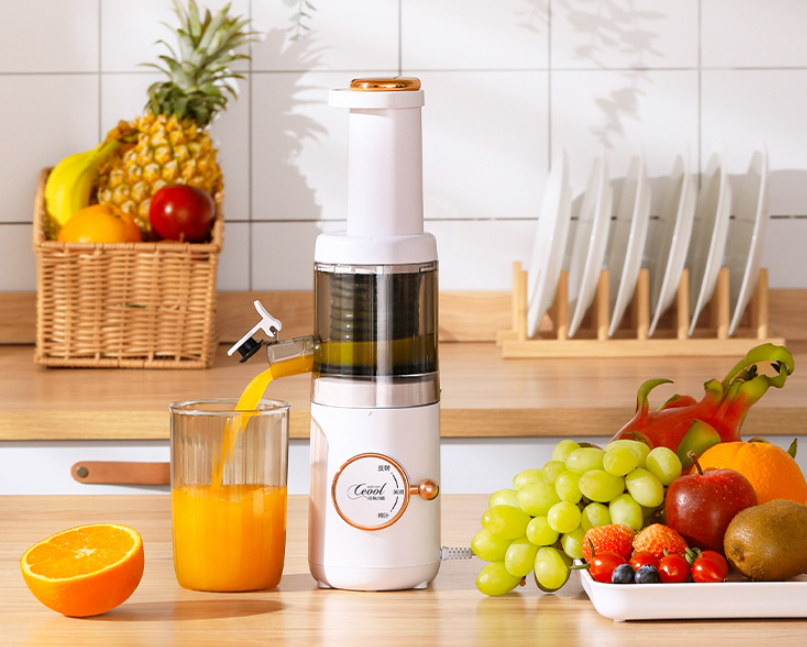 Portable Multifunctional Frying Juice Machine