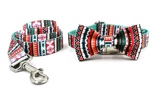 Custom Lettering Dog Collar