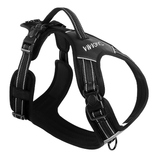 Glowing Dog Collar 4