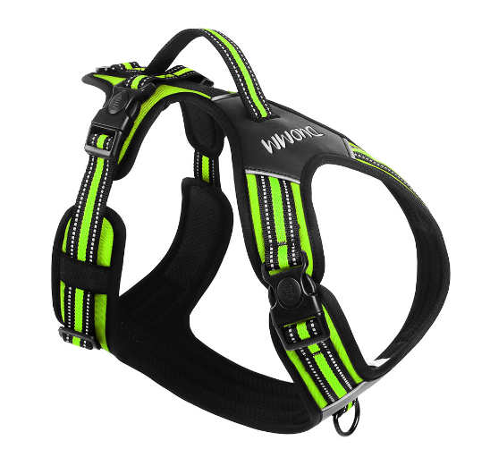 Glowing Dog Collar 3