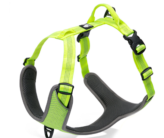Chest Protection Strap Image 4