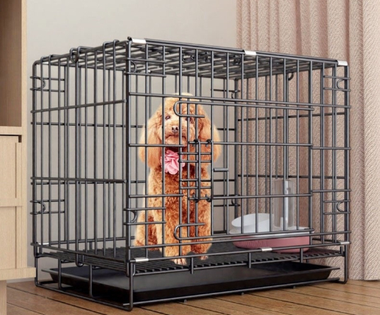 Detached Home Indoor Fenced Corgi Kennel Image 2