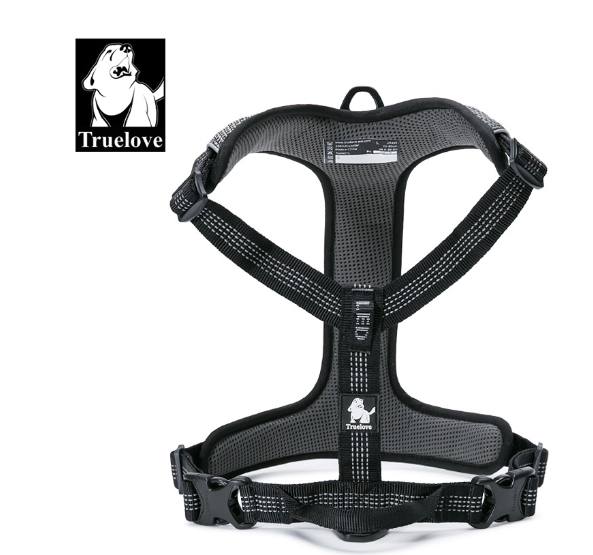 Chest Protection Strap Image 3