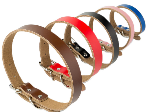 Leather Dog Collar and Chain