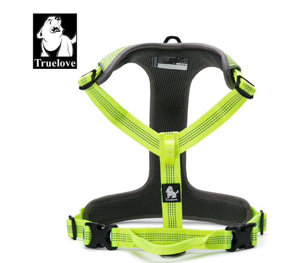 Chest Protection Strap Image 2