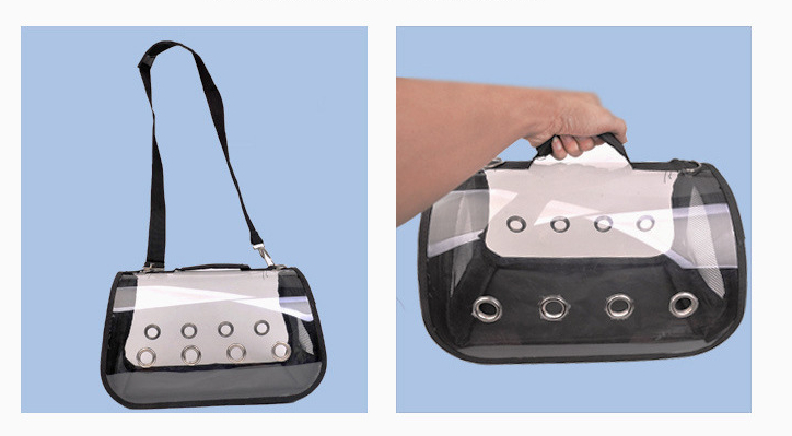 Transparent single shoulder handbag car parrot backpack