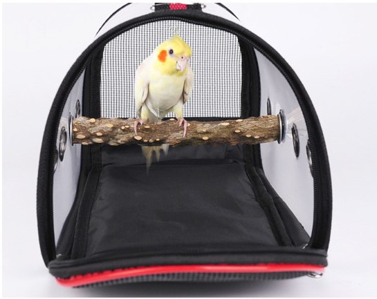 Transparent single shoulder handbag car parrot backpack