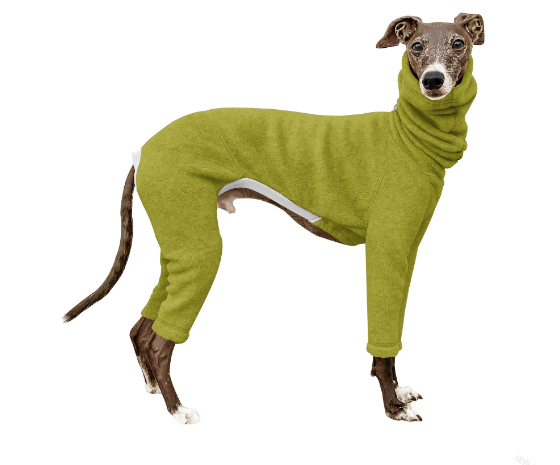 Punching Raincoat Dog Jacket - Black