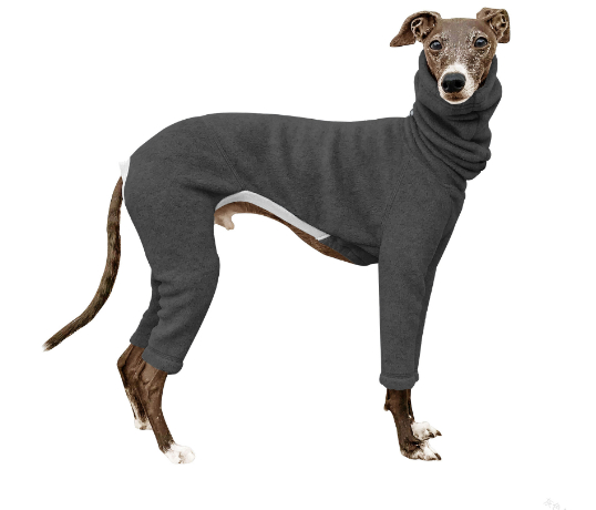 Punching Raincoat Dog Jacket - Olive Green
