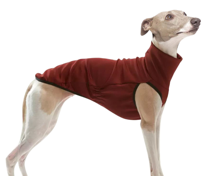 Stylish Dog Vest