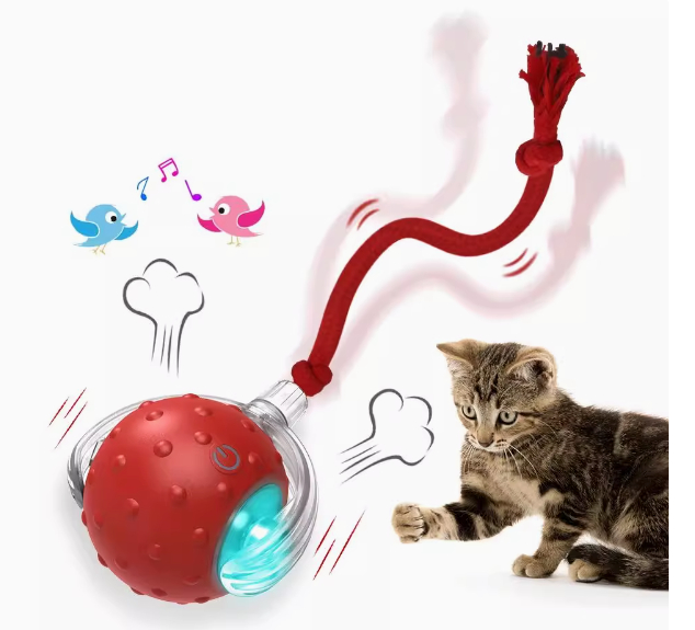 Pet Rolling Ball Image 1