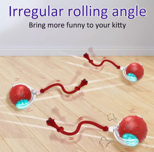 Pet Rolling Ball Image 3