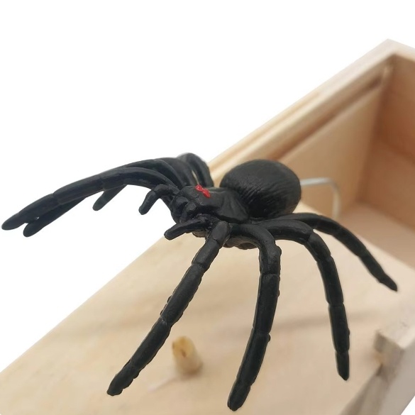 Fun with Wooden Prank Box