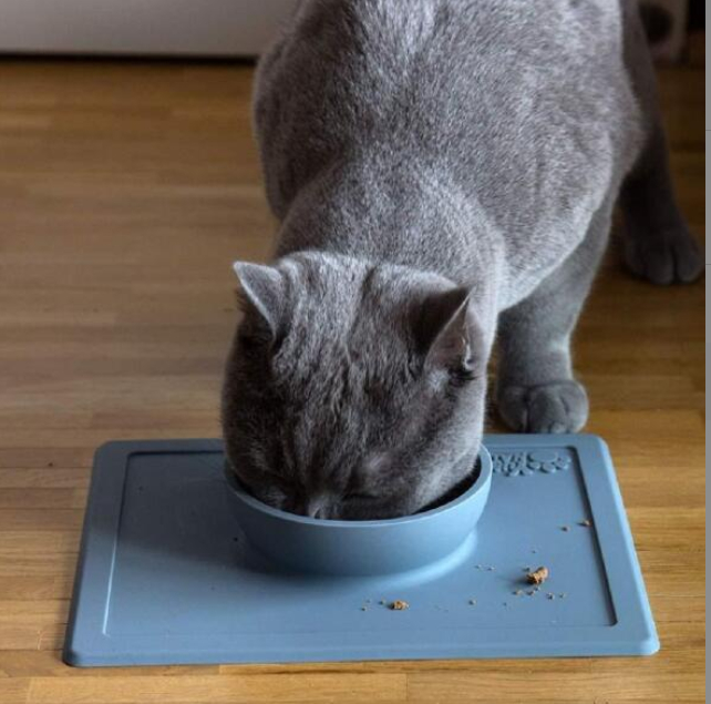 Silicone Pet Bowl