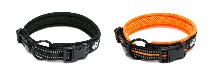 Reflective Nylon Dog Collar in action