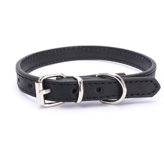 Dog Collar Image 2