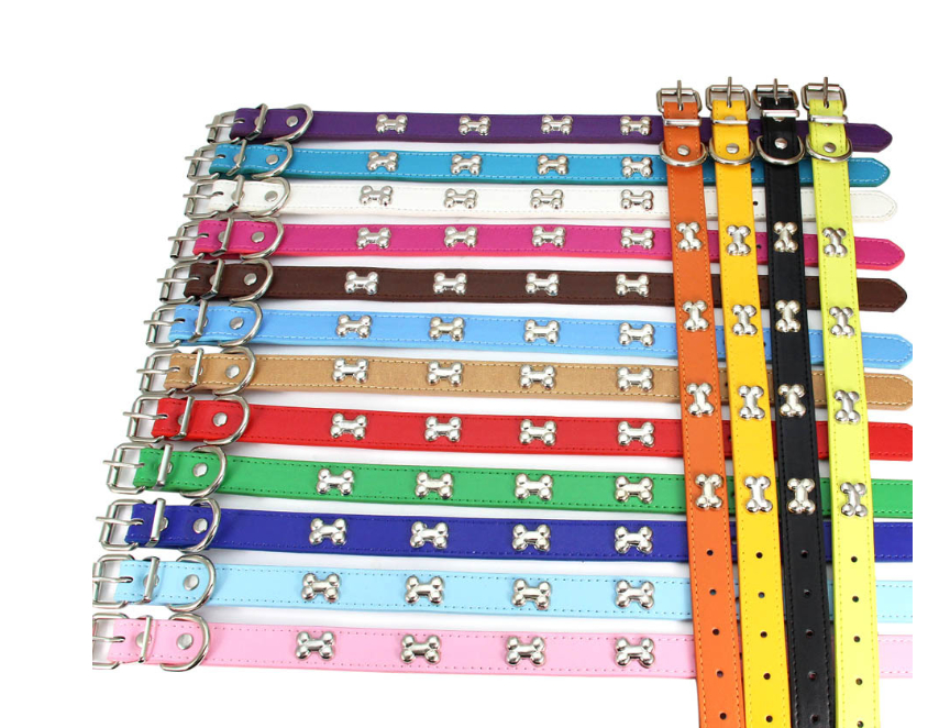 Pet Collar Detail