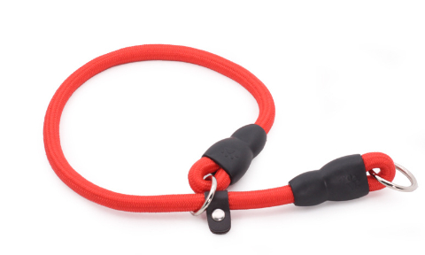 Color Options for Dog Collar
