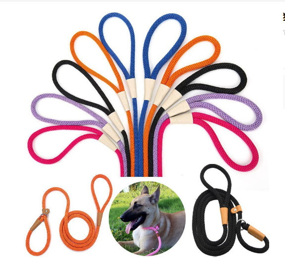 Dog Leash Variation 8
