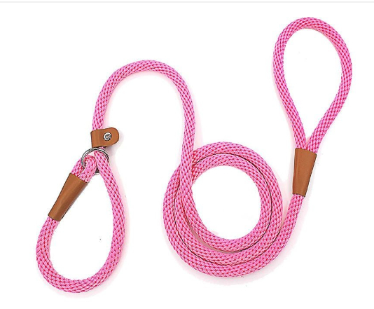 Dog Leash Variation 7