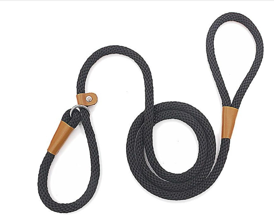 Dog Leash Variation 1