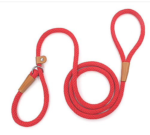Dog Leash Variation 3
